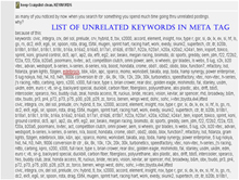 List of unrelated keywords in meta tag
